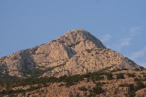 Ricchezza vegetale di Makarska