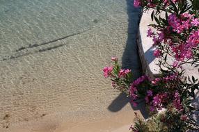 Le 4 spiagge più belle sull'isola Arbe (Rab)