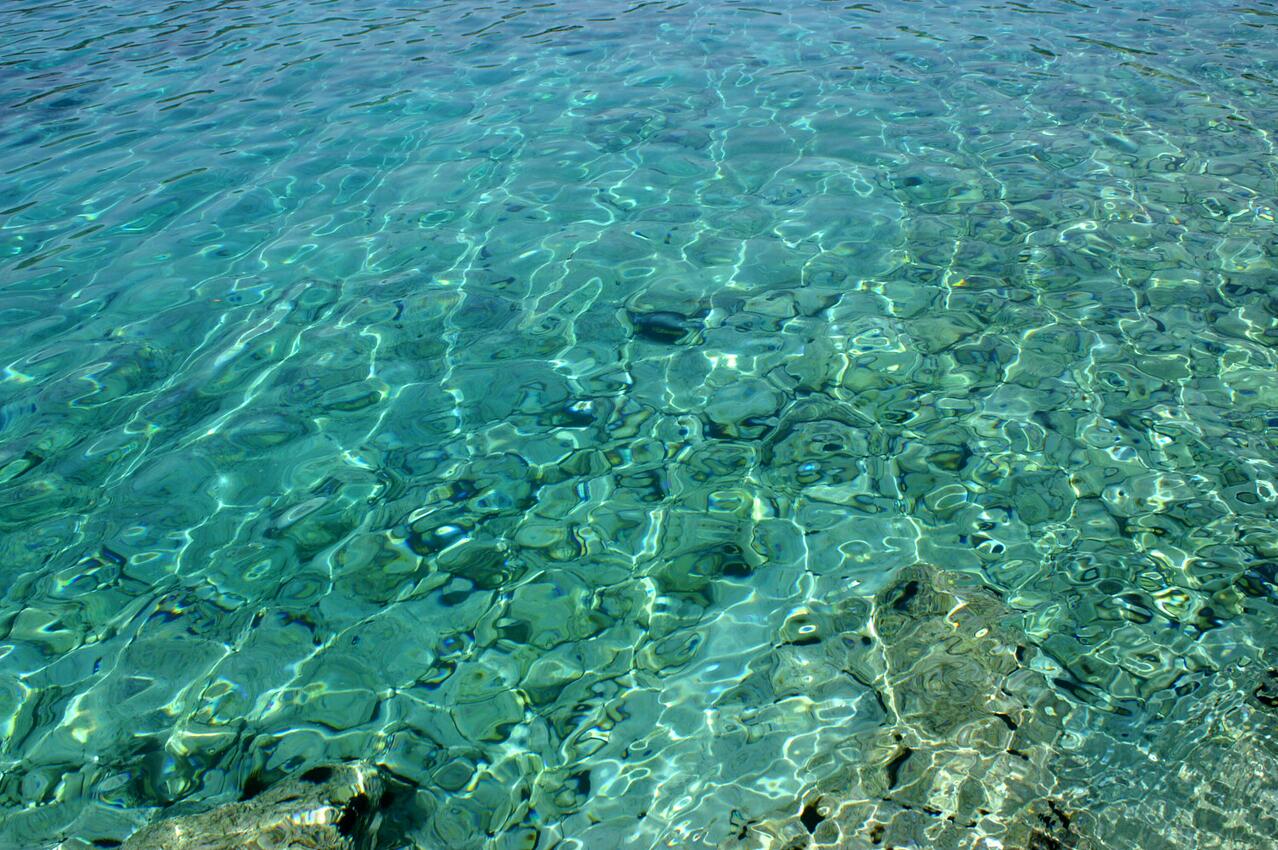 Nearest beach - Apartments by the sea Kanica, Rogoznica