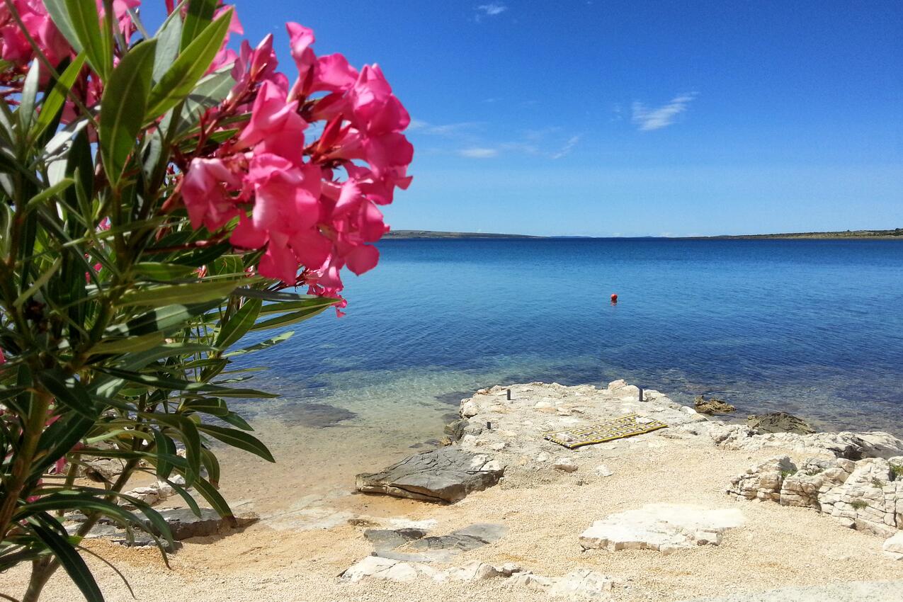 Nearest beach - Apartments by the sea Košljun, Pag