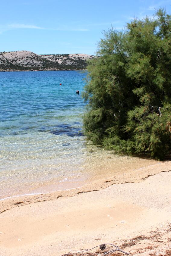 La spiaggia più vicina - Appartamenti accanto al mare Novaglia Vecchia - Stara Novalja, Pago - Pag