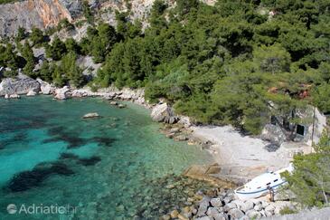 Lejligheder ved havet Vig Zarace, Hvar - 20924