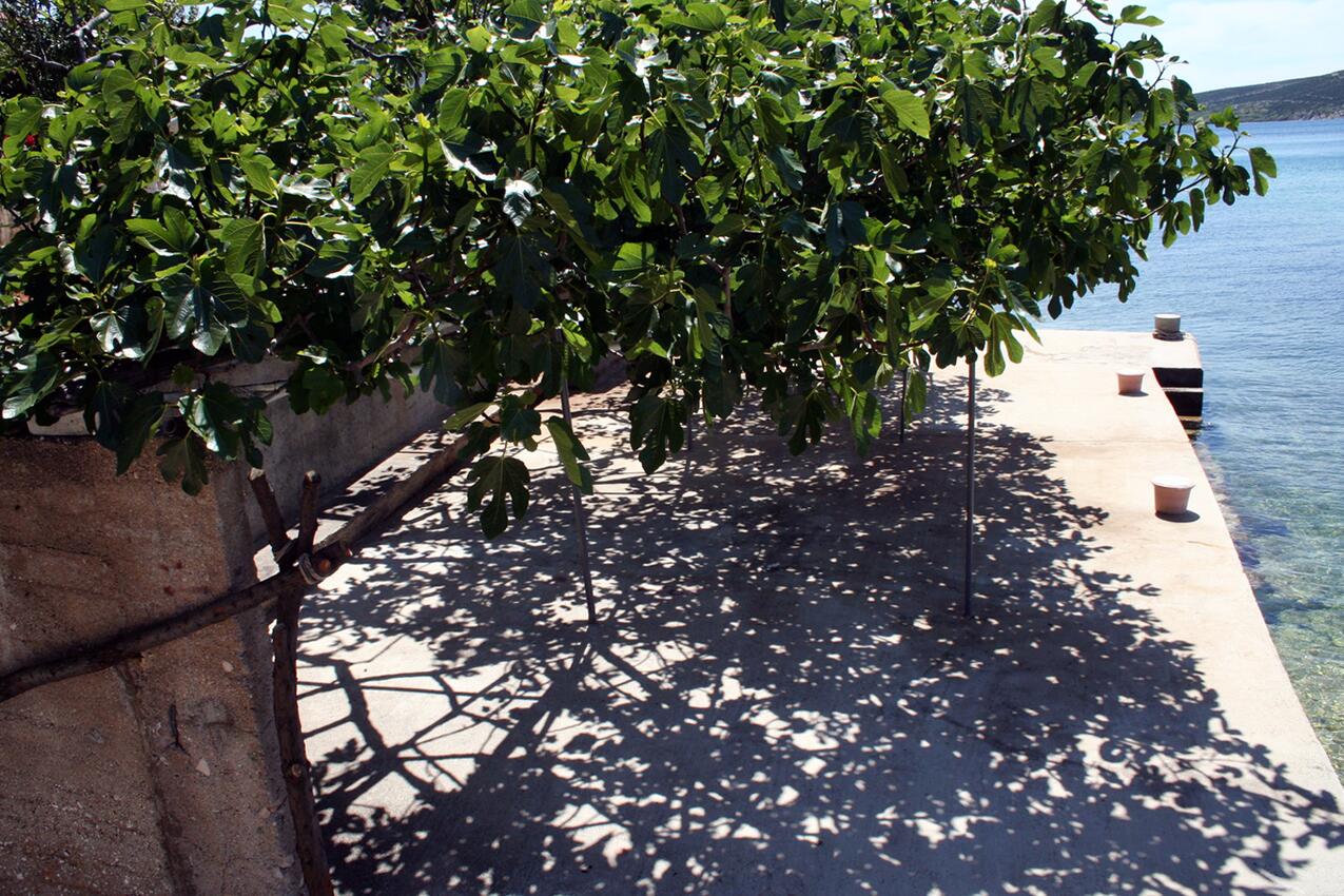 Najbliža plaža - Apartmani uz more Stara Novalja, Pag