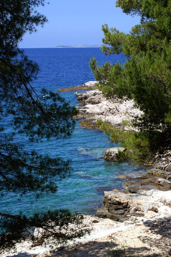 La spiaggia più vicina - Appartamenti con parcheggio Bilo, Capocesto - Primošten
