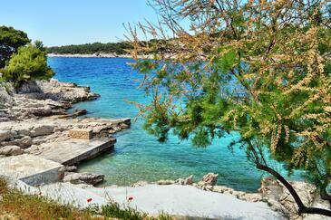 Appartamenti accanto al mare Bilo, Capocesto - Primošten - 14601