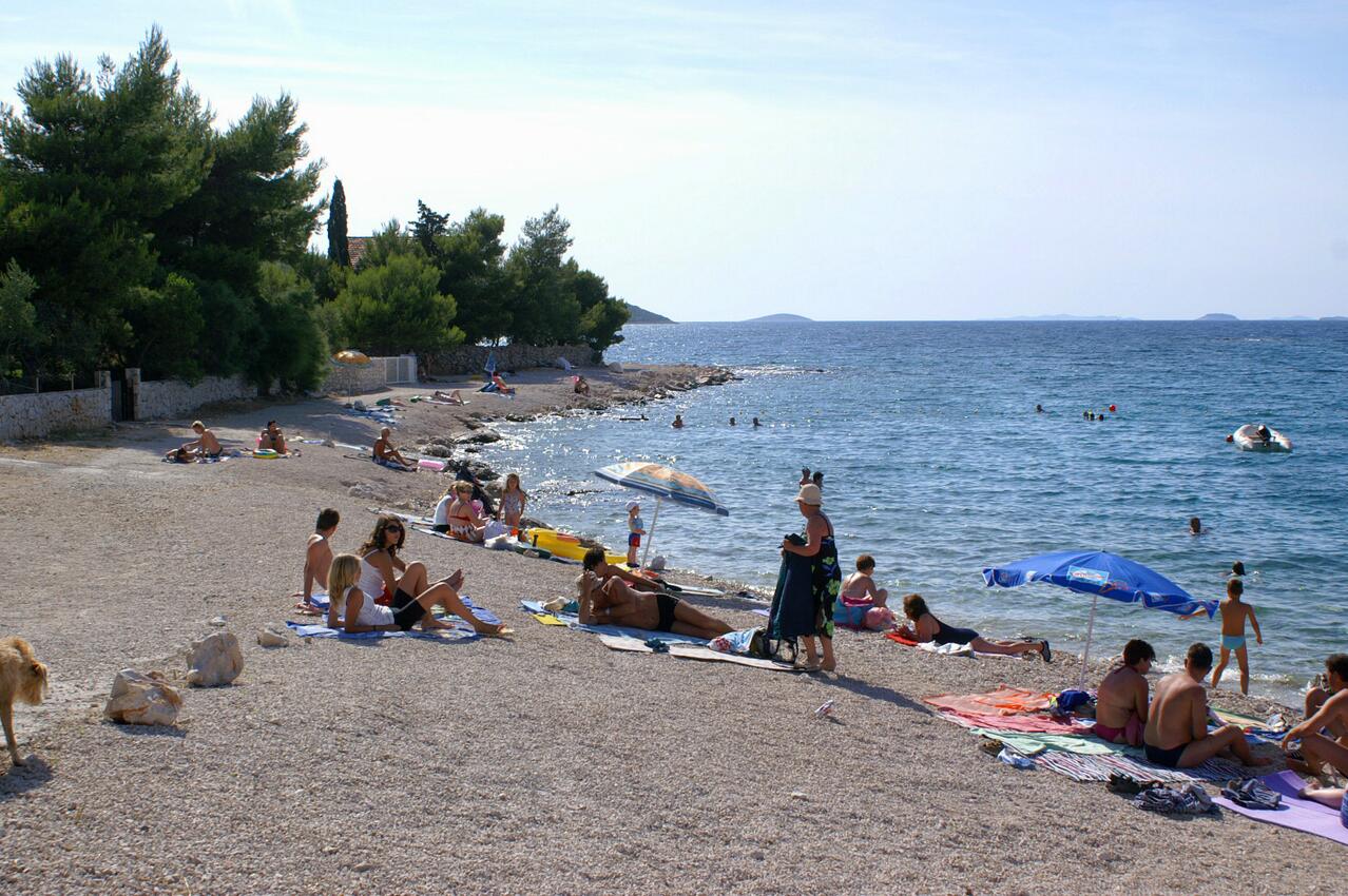 La spiaggia più vicina - Appartamenti accanto al mare Razanj, Rogosnizza - Rogoznica