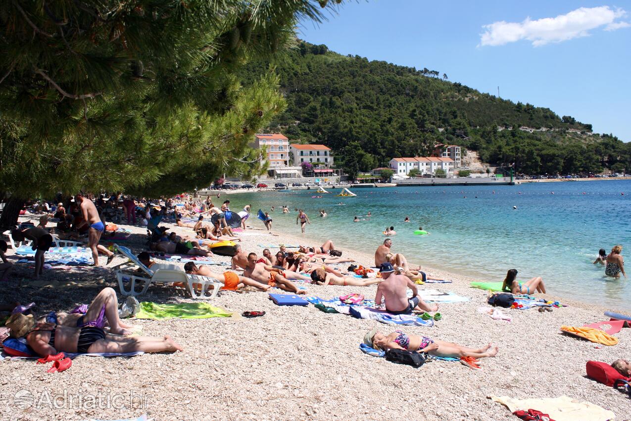 Adriatic.hr