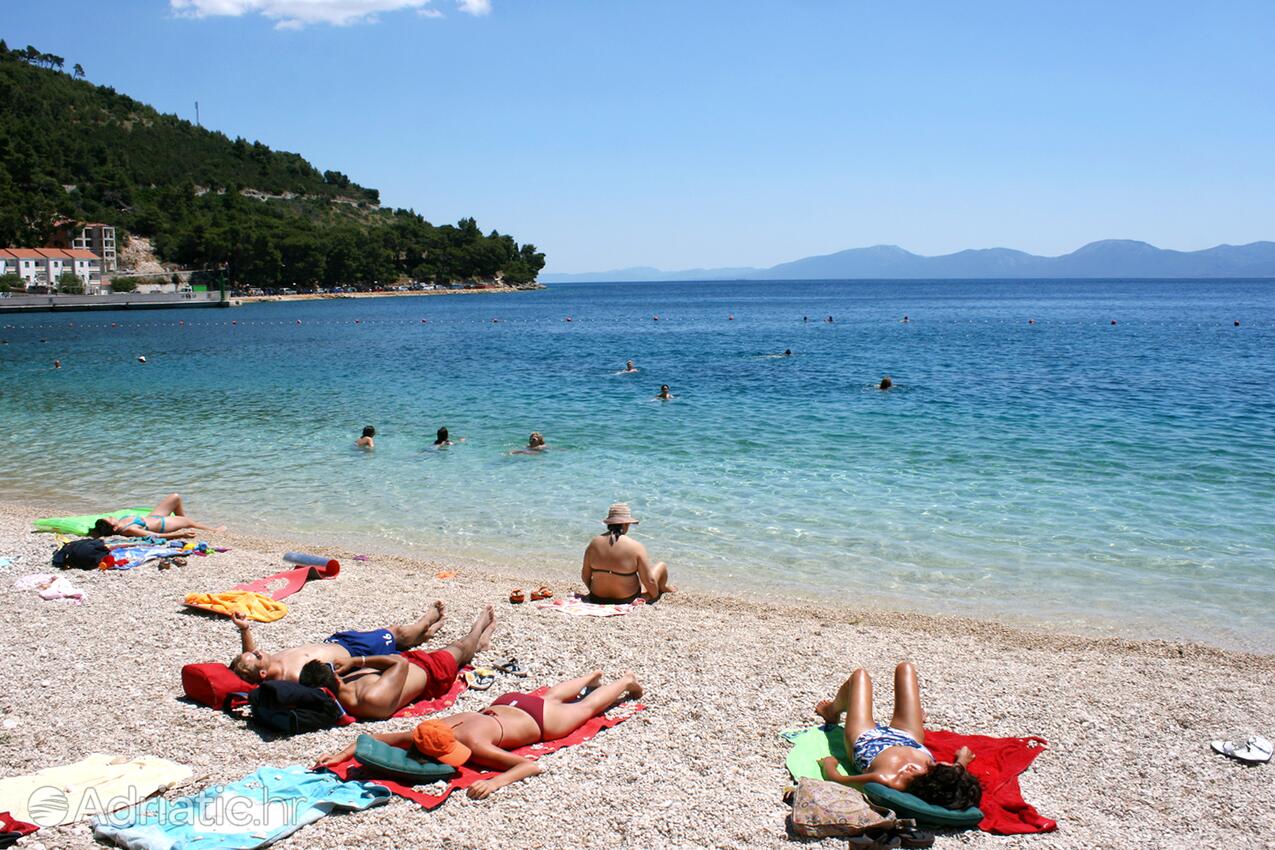 Adriatic.hr