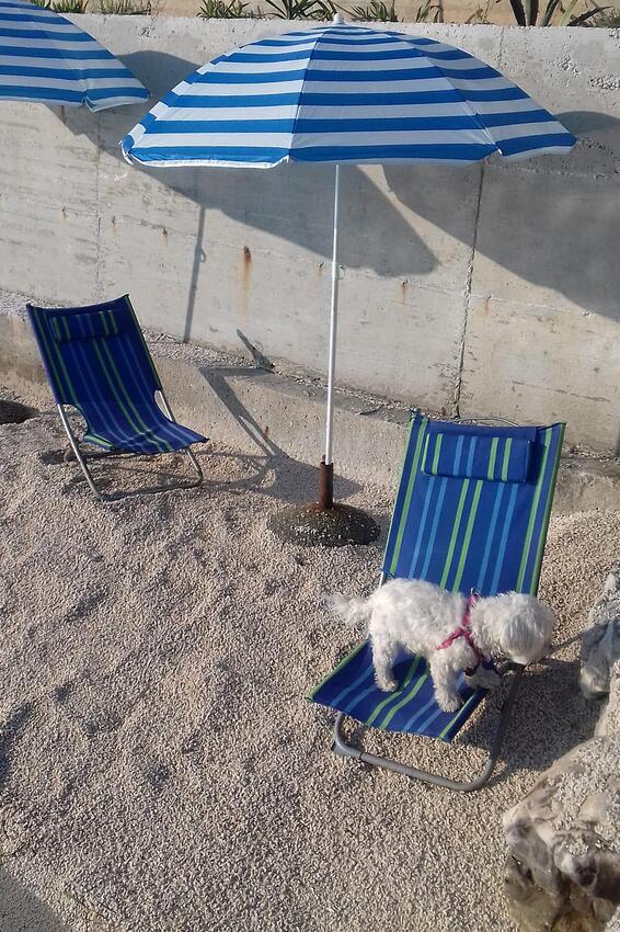 Nächster Strand - Ferienwohnungen am Meer Arbanija, Ciovo