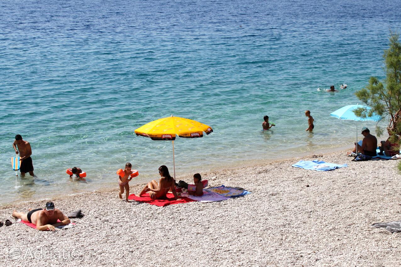 Adriatic.hr