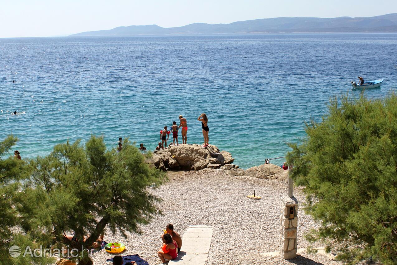 Adriatic.hr