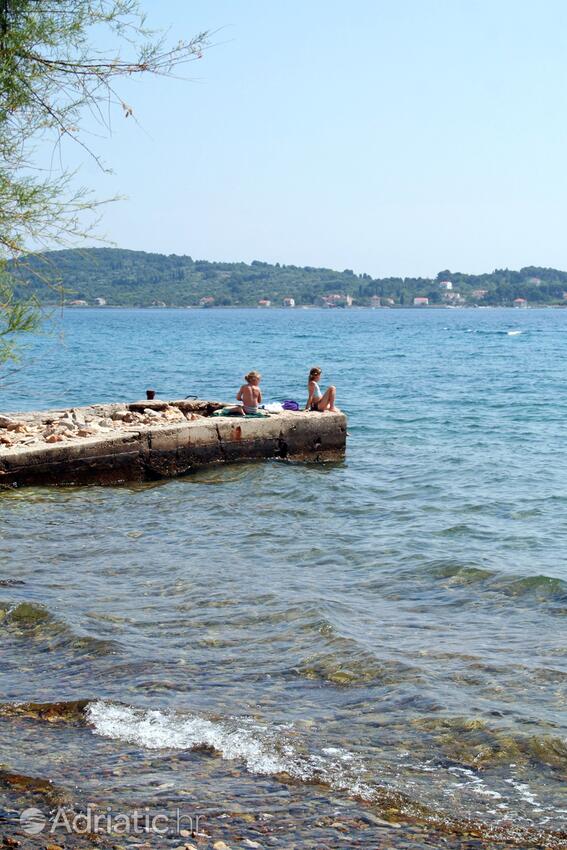 Adriatic.hr