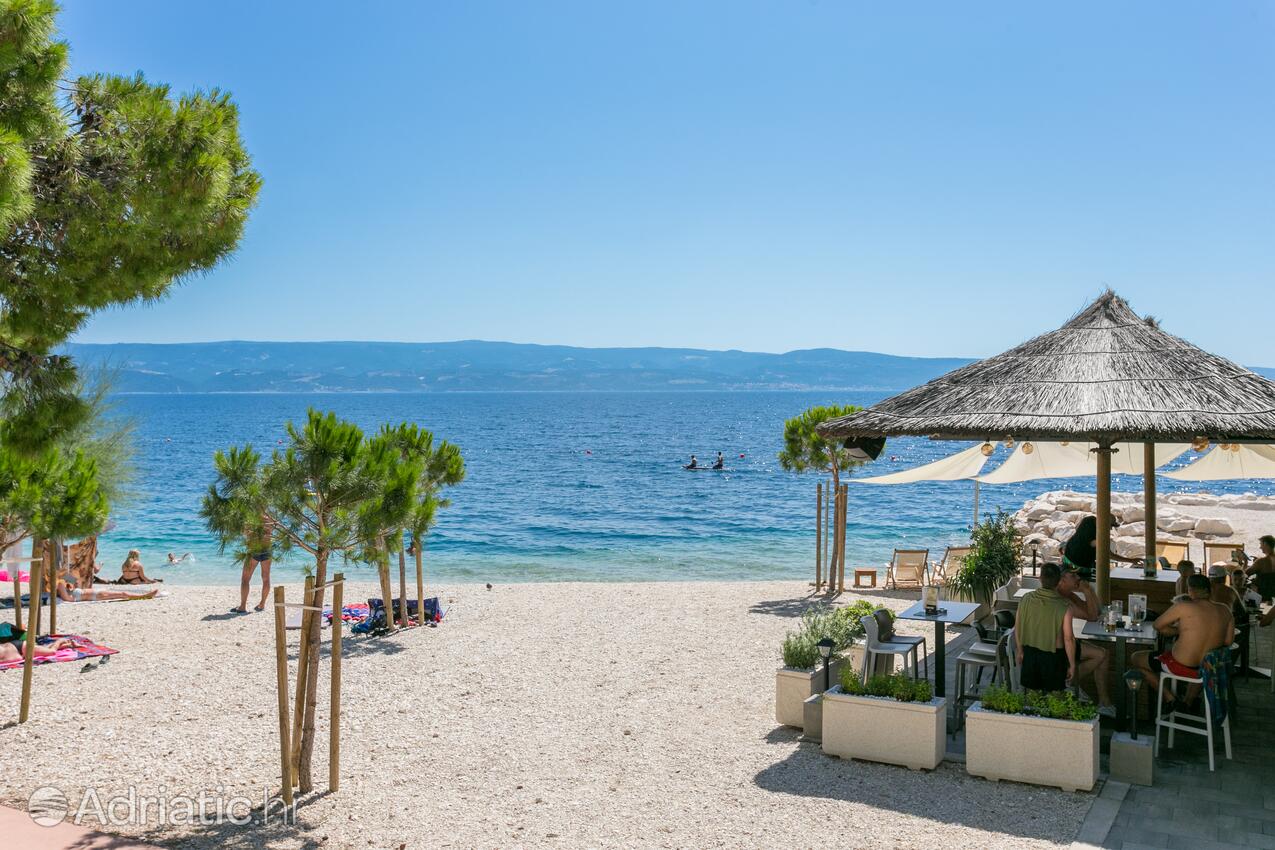 Adriatic.hr