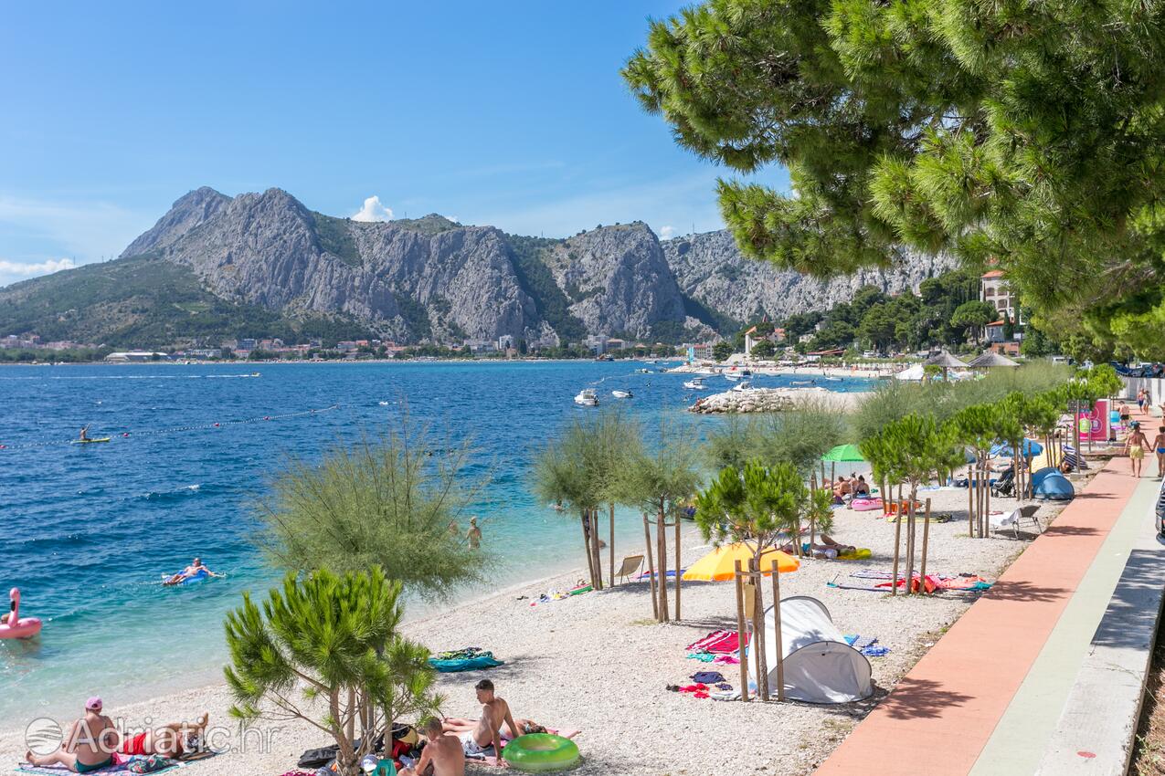 Adriatic.hr