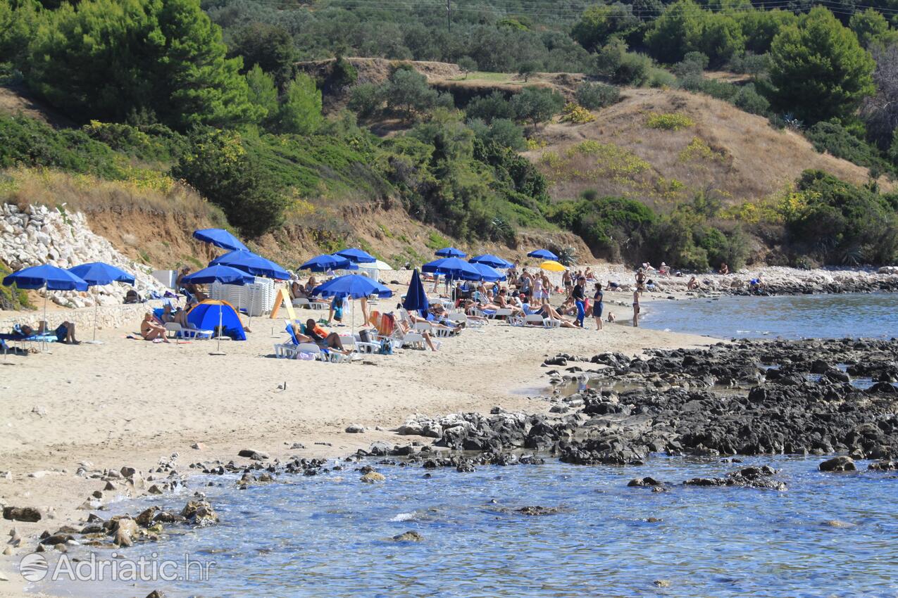 La spiaggia più vicina - Appartamenti accanto al mare con piscina Lombarda - Lumbarda, Curzola - Korčula