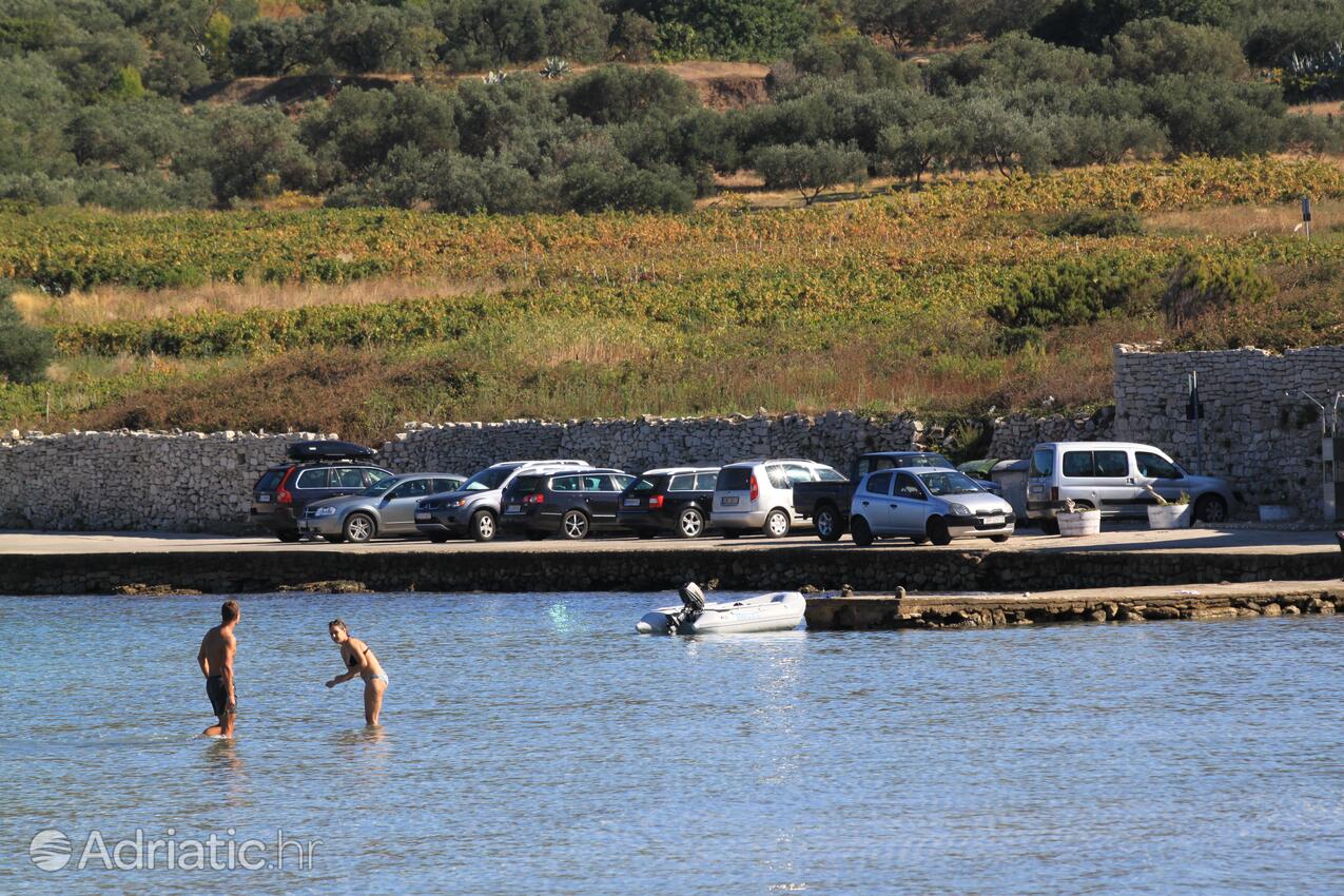 La spiaggia più vicina - Appartamenti accanto al mare con piscina Lombarda - Lumbarda, Curzola - Korčula