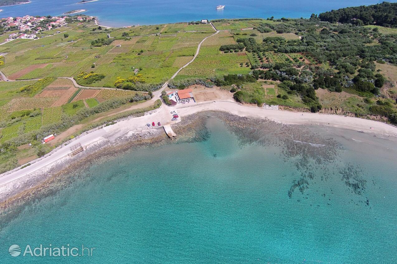 La spiaggia più vicina - Appartamenti accanto al mare con piscina Lombarda - Lumbarda, Curzola - Korčula