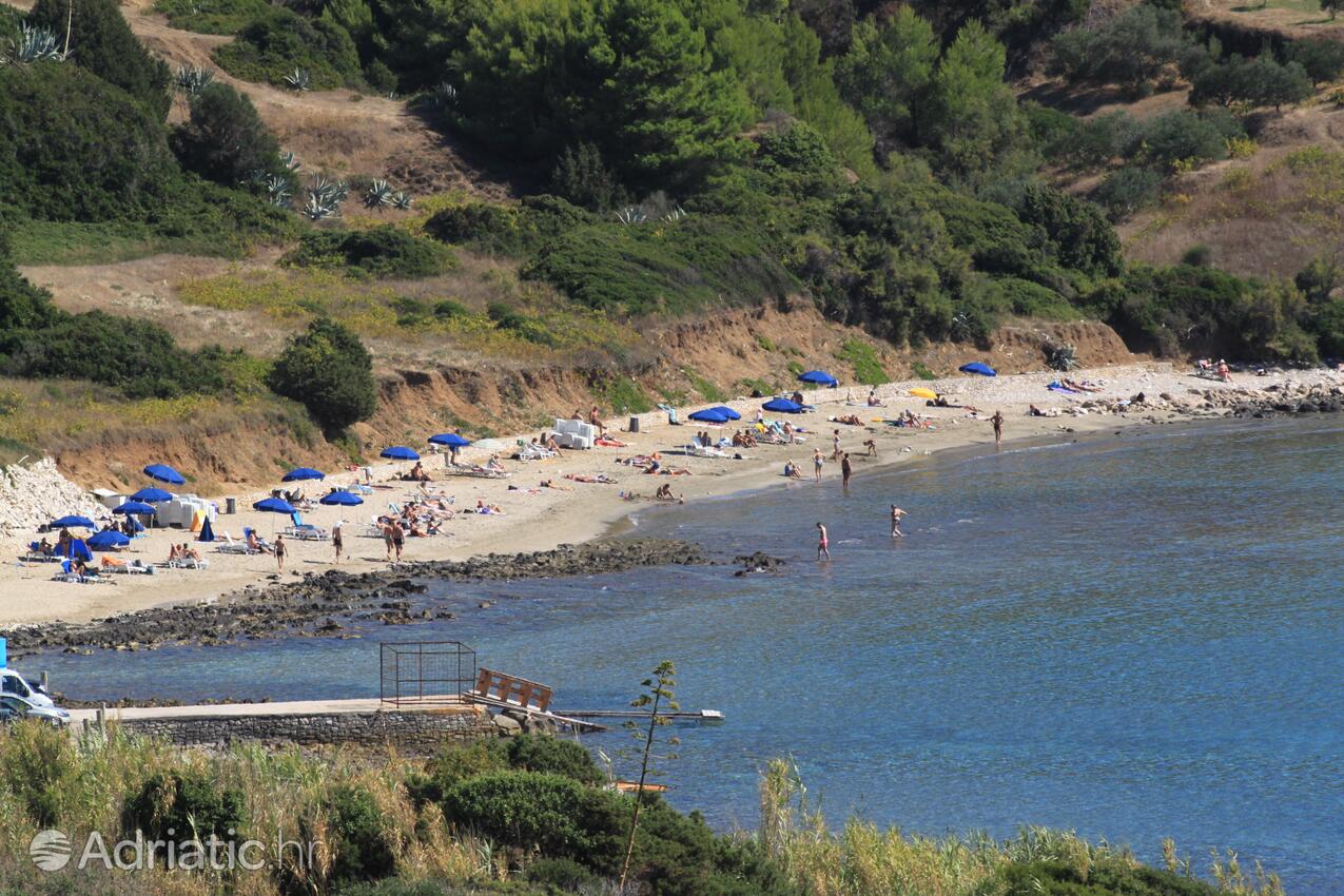 La spiaggia più vicina - Appartamenti accanto al mare con piscina Lombarda - Lumbarda, Curzola - Korčula