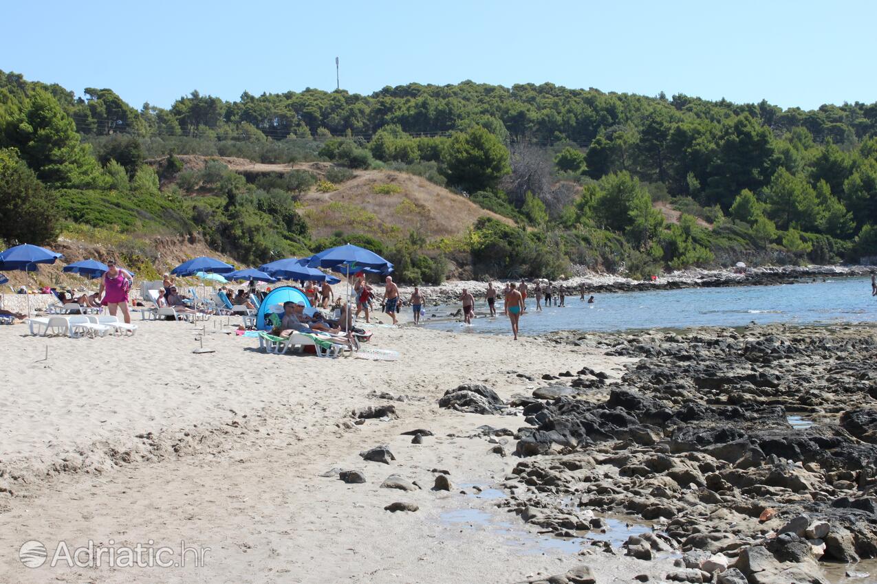 La spiaggia più vicina - Appartamenti accanto al mare con piscina Lombarda - Lumbarda, Curzola - Korčula