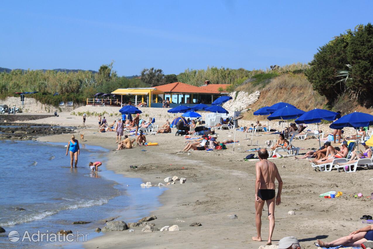 La spiaggia più vicina - Appartamenti accanto al mare con piscina Lombarda - Lumbarda, Curzola - Korčula