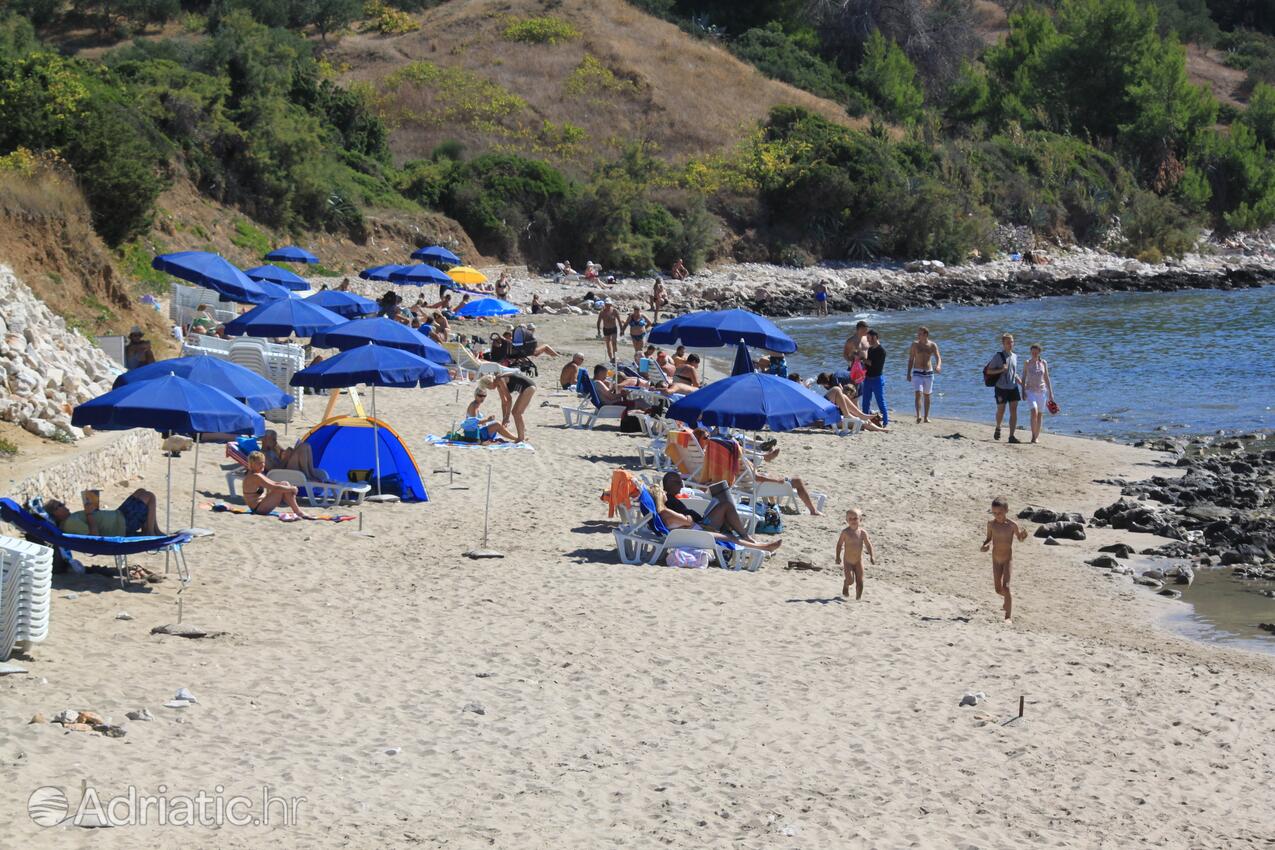 La spiaggia più vicina - Appartamenti accanto al mare con piscina Lombarda - Lumbarda, Curzola - Korčula