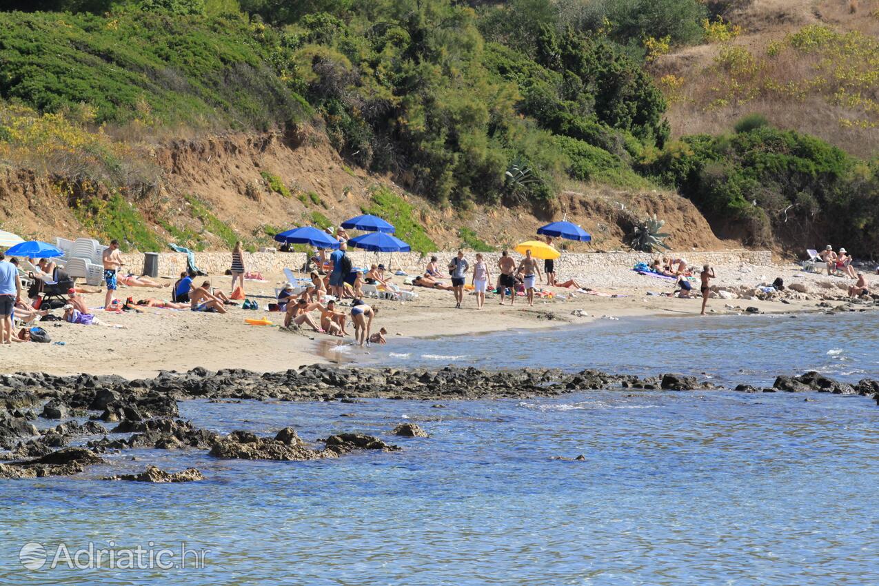 La spiaggia più vicina - Appartamenti accanto al mare con piscina Lombarda - Lumbarda, Curzola - Korčula