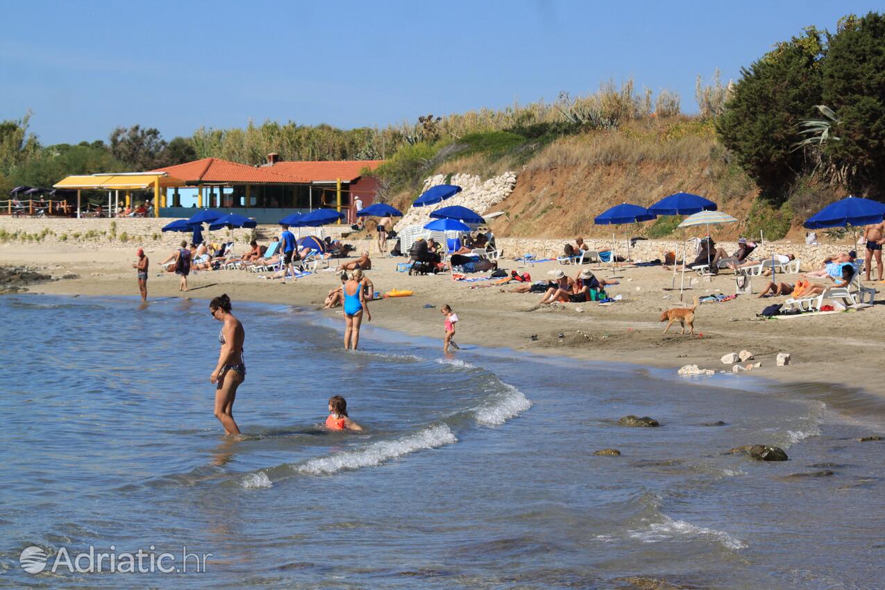 La spiaggia più vicina - Appartamenti accanto al mare con piscina Lombarda - Lumbarda, Curzola - Korčula