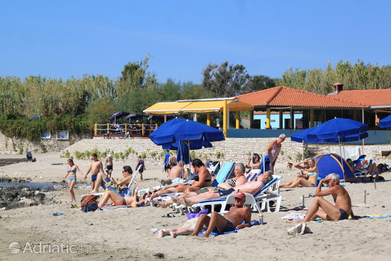 La spiaggia più vicina - Appartamenti accanto al mare con piscina Lombarda - Lumbarda, Curzola - Korčula