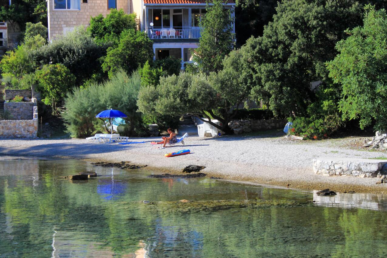 Nearest beach - Apartments by the sea Cove Vrbovica, Korčula