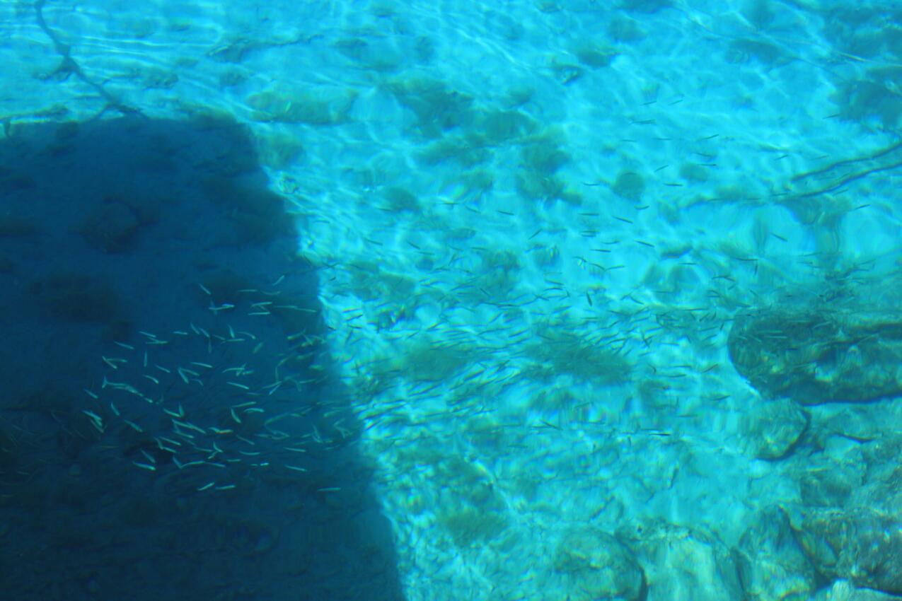 Nächster Strand - Ferienwohnungen am Meer Kneza, Korcula