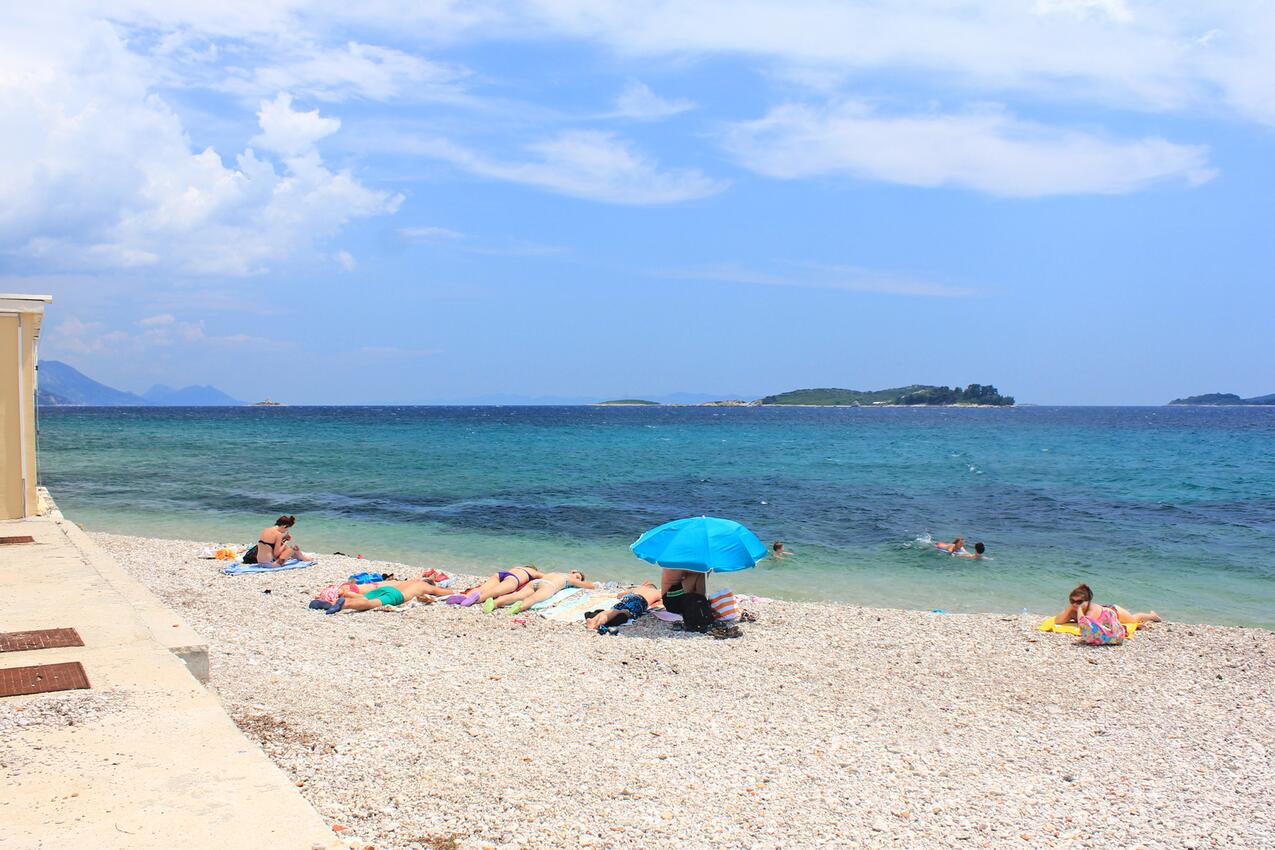 La spiaggia più vicina - Appartamenti accanto al mare Sabbioncello - Orebić, Sabbioncello - Pelješac
