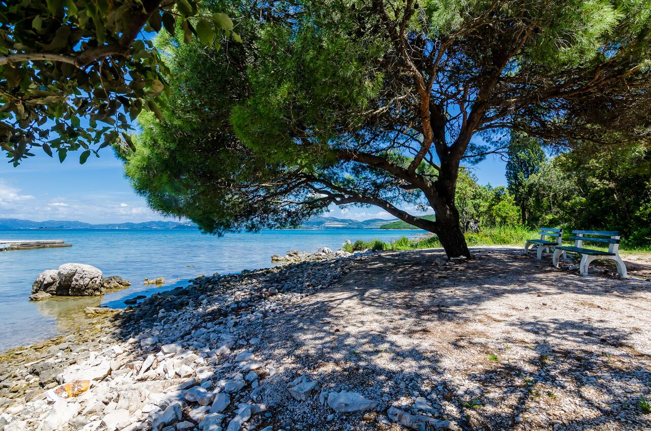 La spiaggia più vicina - Appartamenti accanto al mare Drace, Sabbioncello - Pelješac