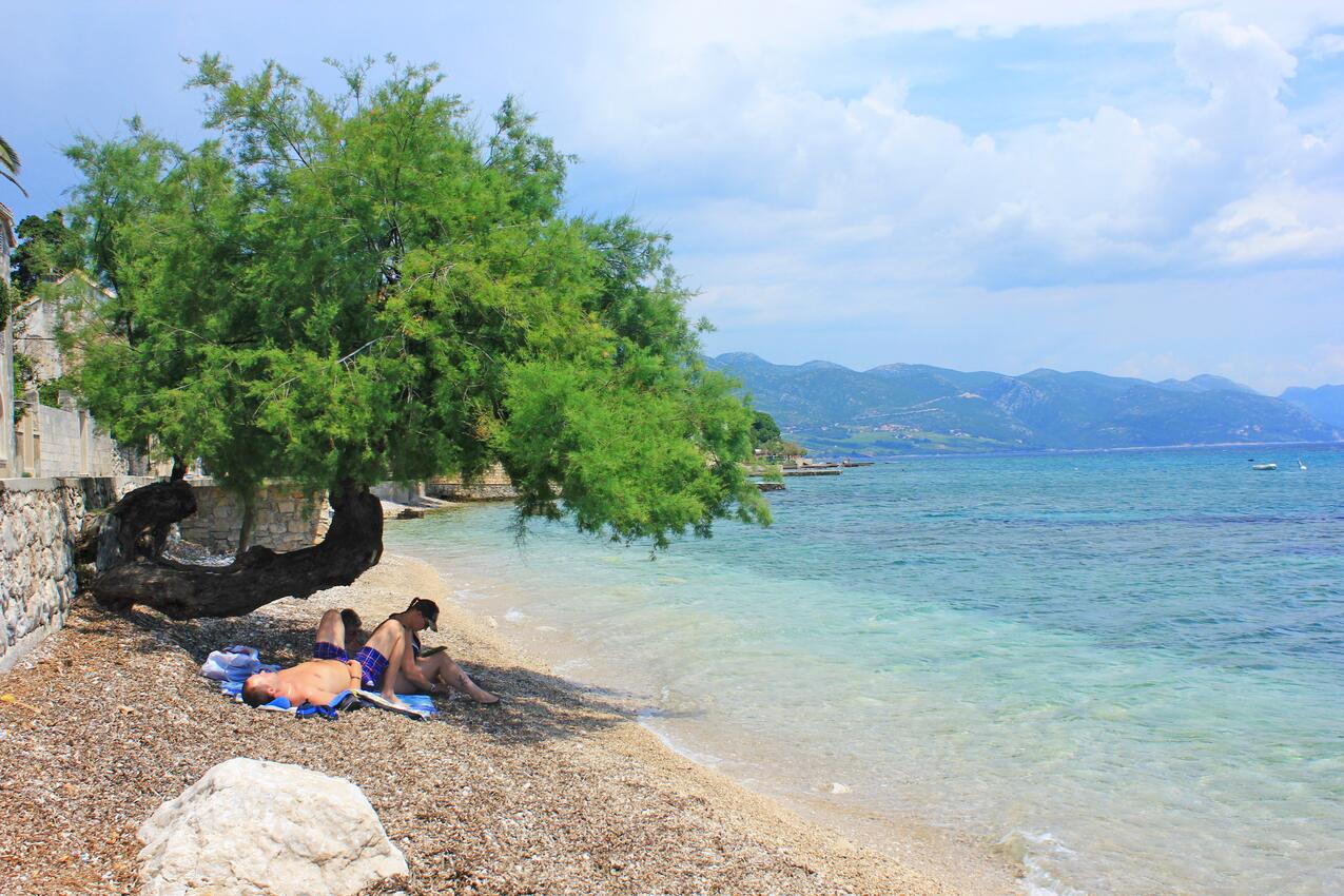 Nearest beach - Apartments with parking spaces Orebić, Pelješac