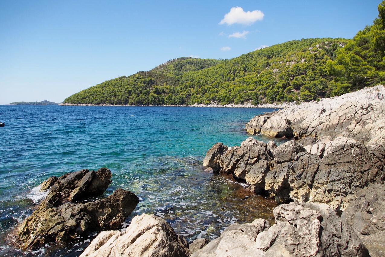 La spiaggia più vicina - Appartamenti accanto al mare Brna, Curzola - Korčula