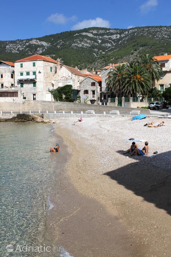La spiaggia più vicina - Appartamenti e camere accanto al mare Comisa - Komiža, Lissa - Vis