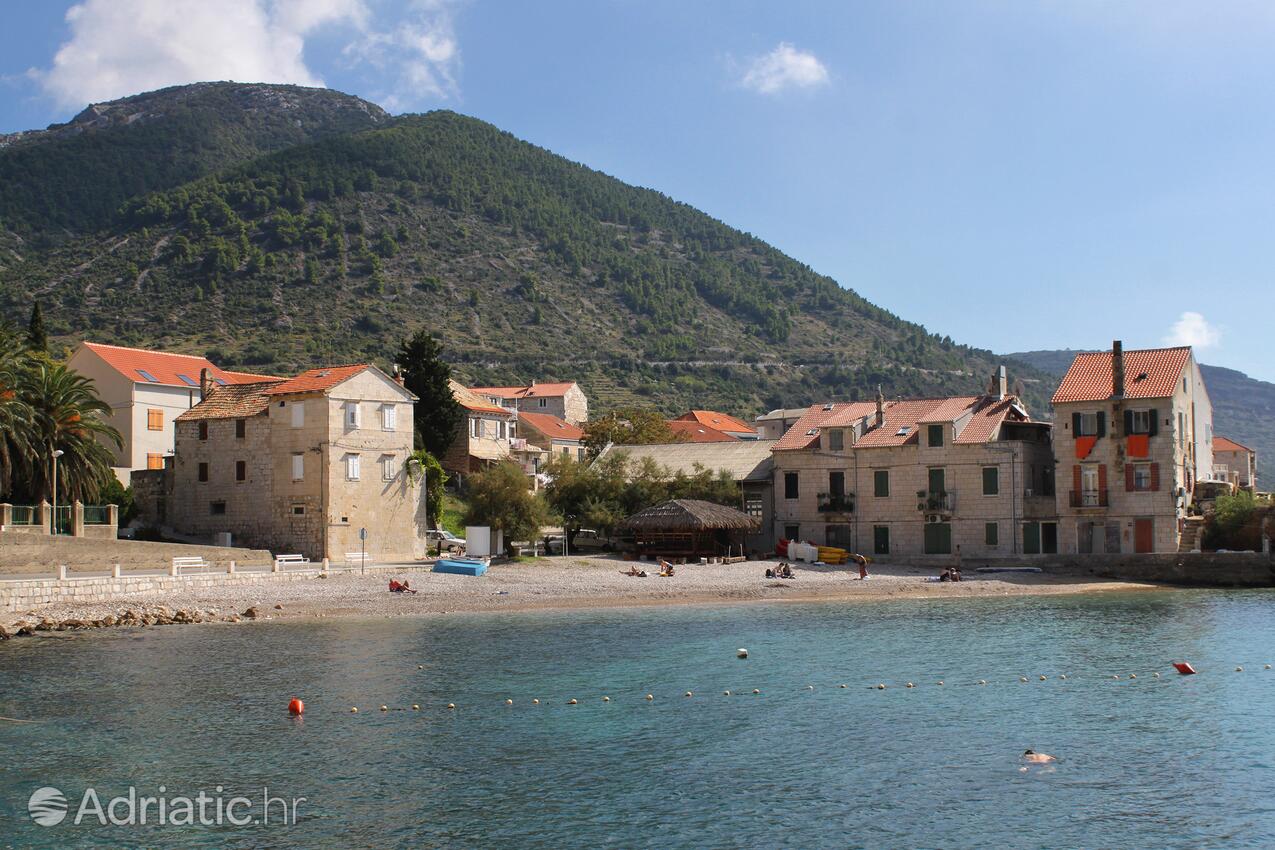 La spiaggia più vicina - Appartamenti e camere accanto al mare Comisa - Komiža, Lissa - Vis