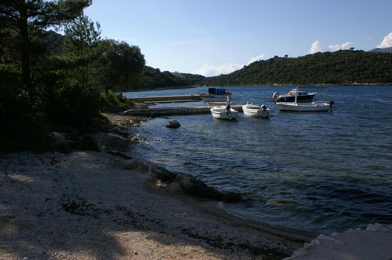 Nearest beach - Apartments by the sea Cove Vrbovica, Korčula