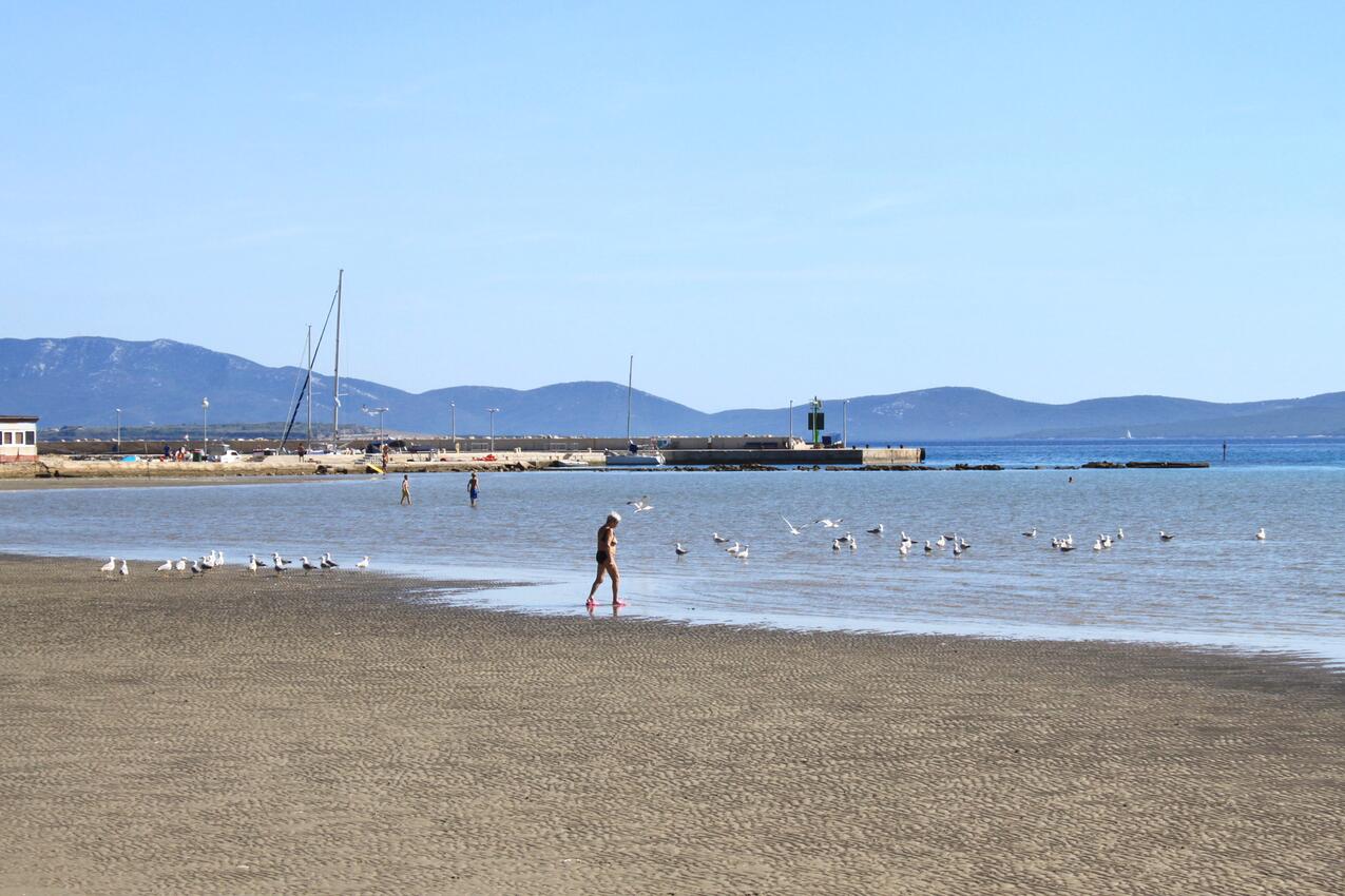 La spiaggia più vicina - Appartamenti accanto al mare per famiglie Sansego - Susak, Lussino - Lošinj