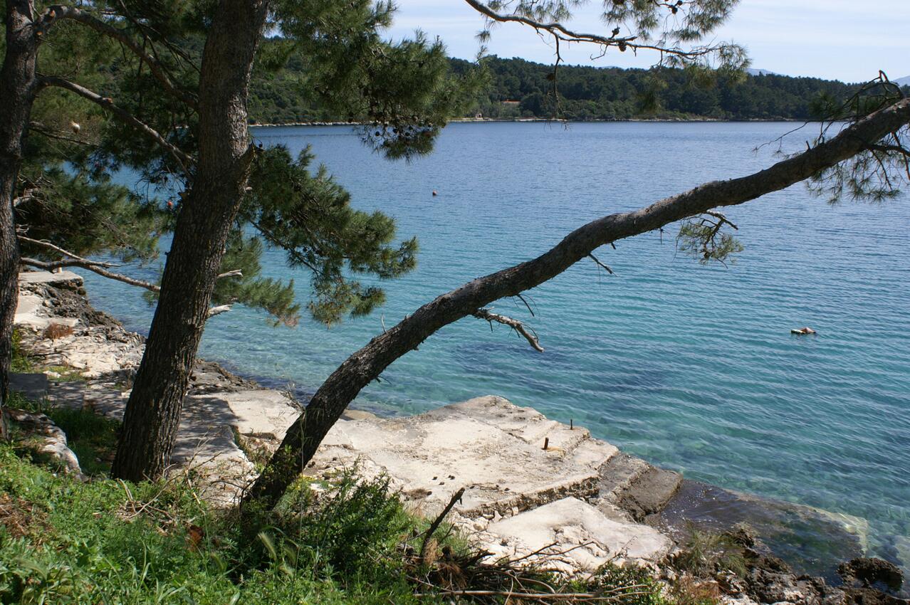 La spiaggia più vicina - Appartamenti accanto al mare Lombarda - Lumbarda, Curzola - Korčula