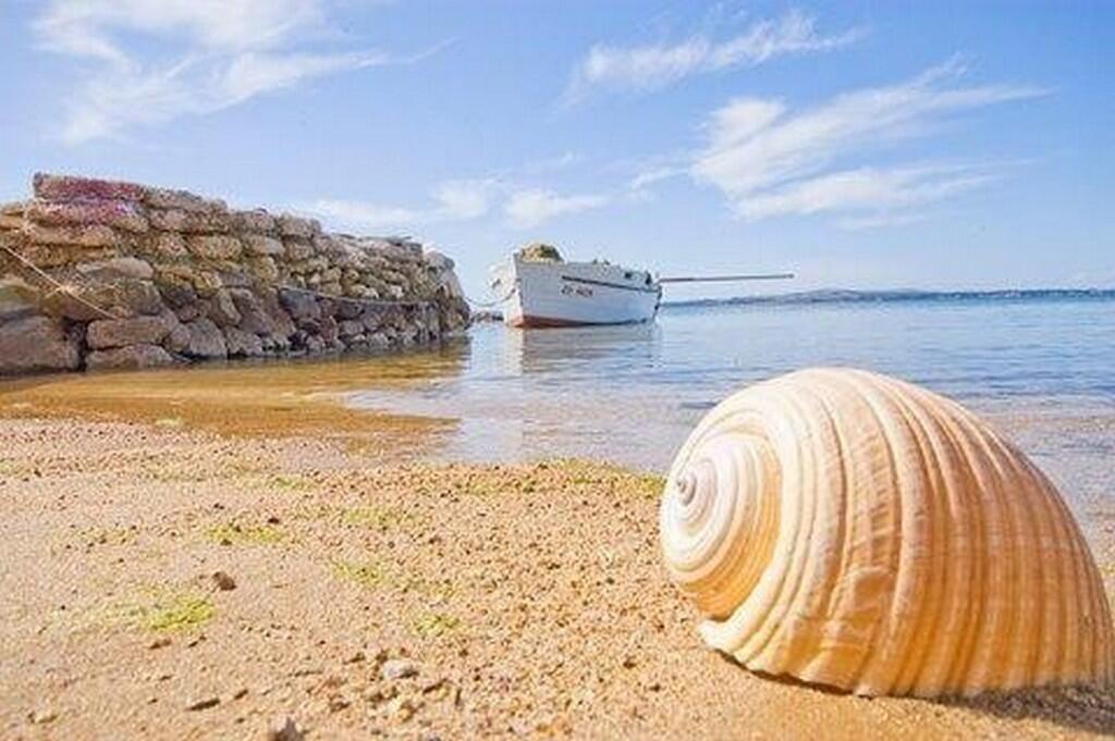 Nächster Strand - Ferienhaus am Meer Privlaka, Zadar