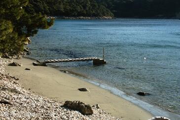 Apartmani uz more Uvala Saplunara, Mljet - 12849