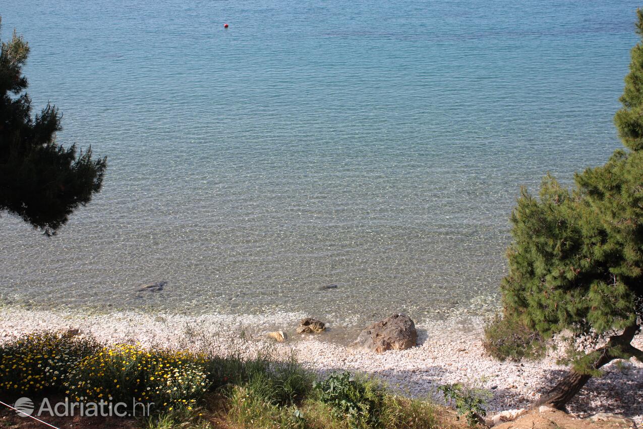Nearest beach - Apartments by the sea Cove Saplunara, Mljet