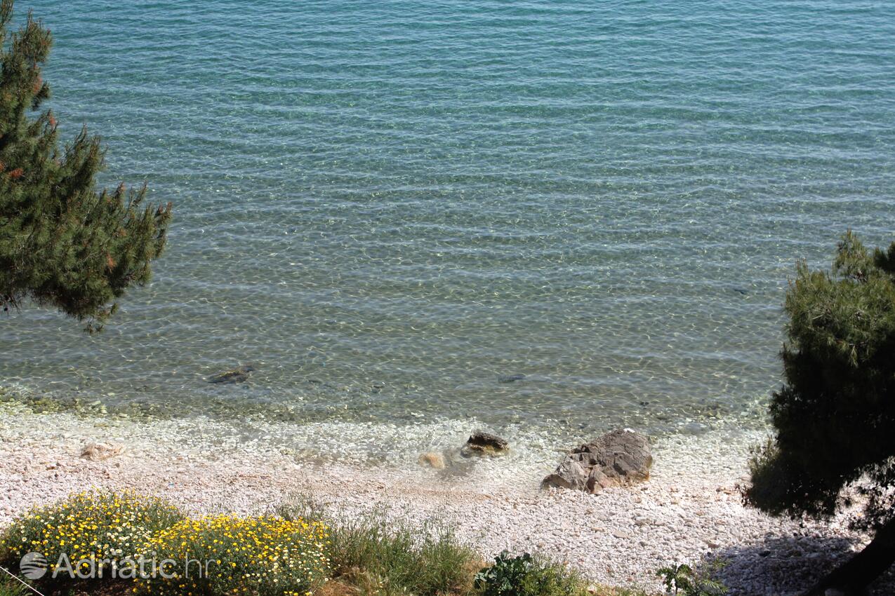 Nearest beach - Apartments by the sea Cove Saplunara, Mljet