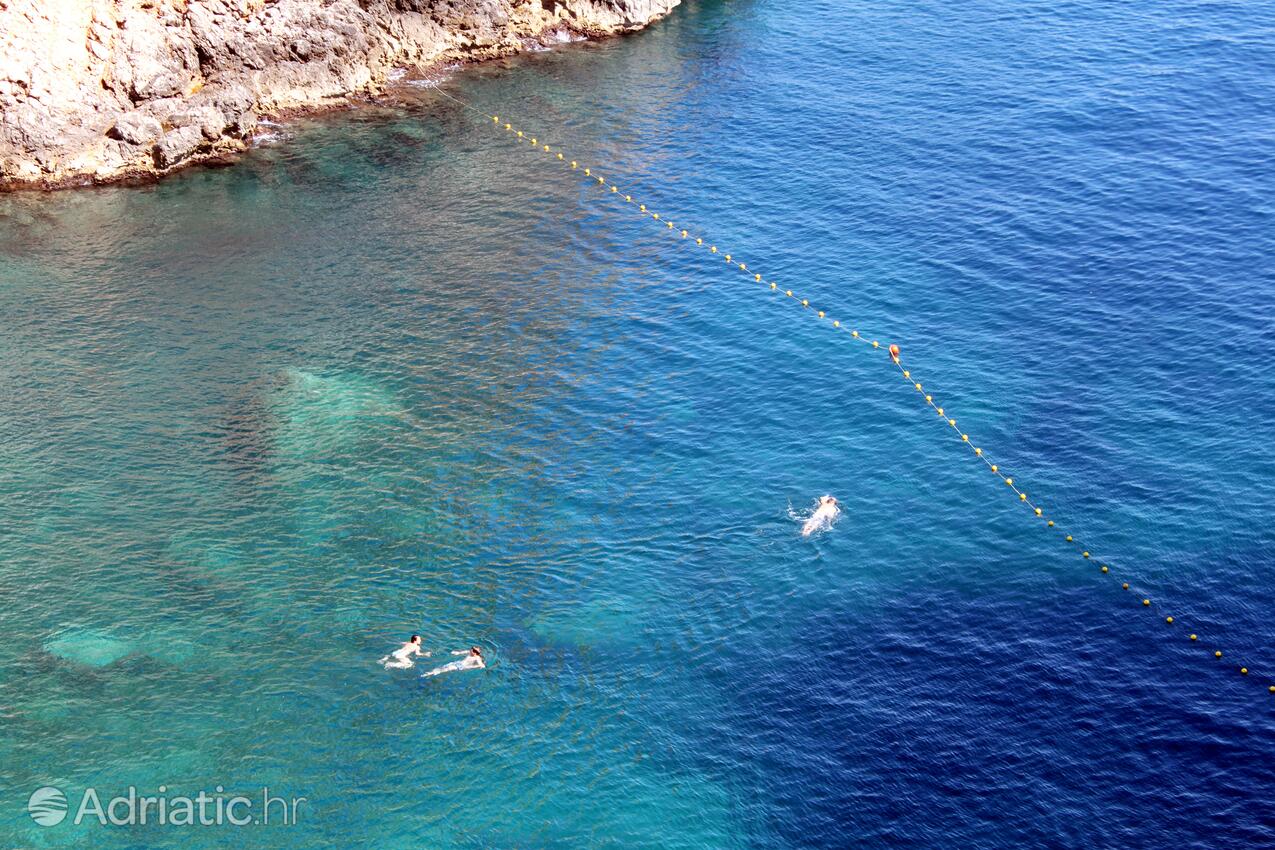 Adriatic.hr