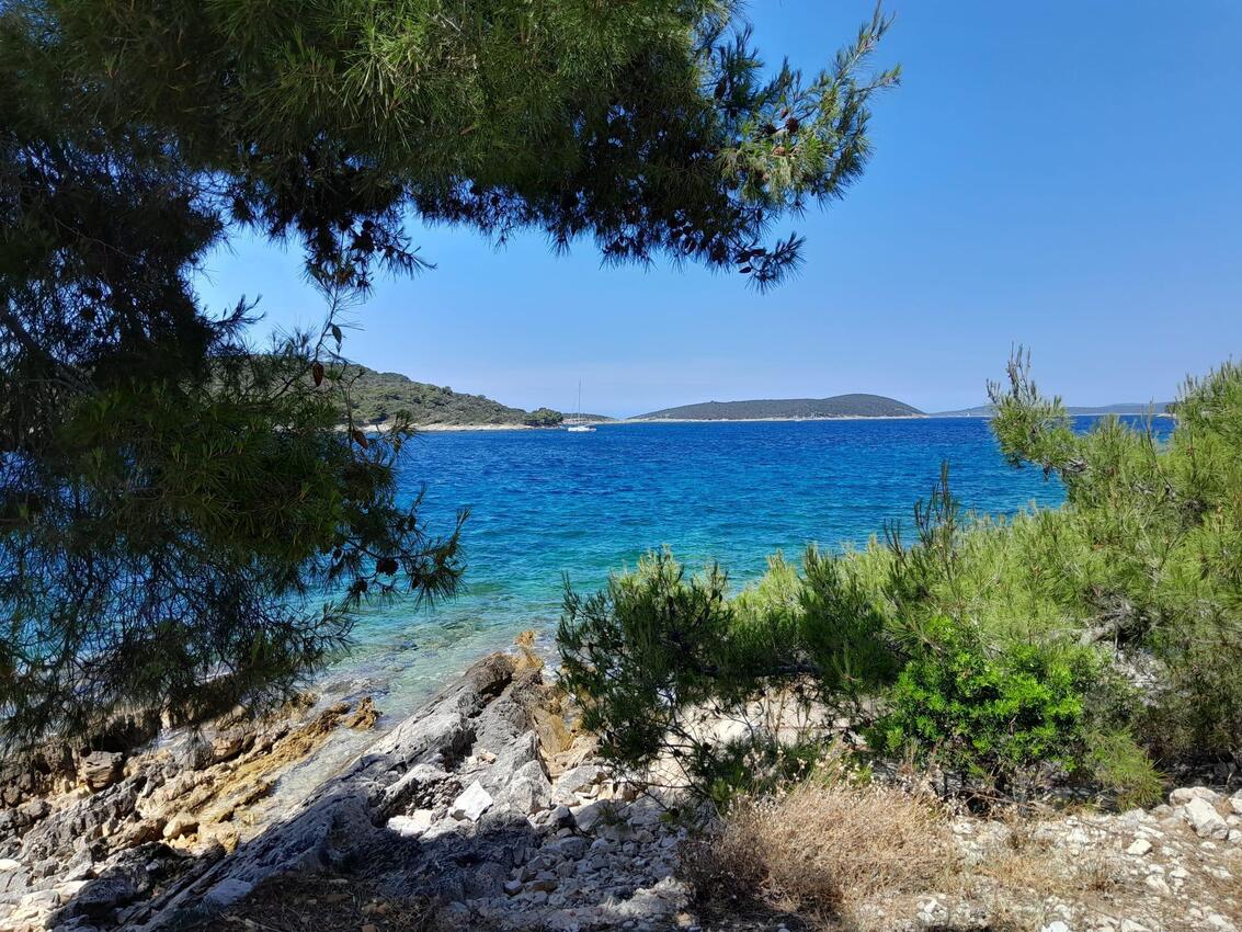 La spiaggia più vicina - Appartamenti accanto al mare Maslinica, Solta