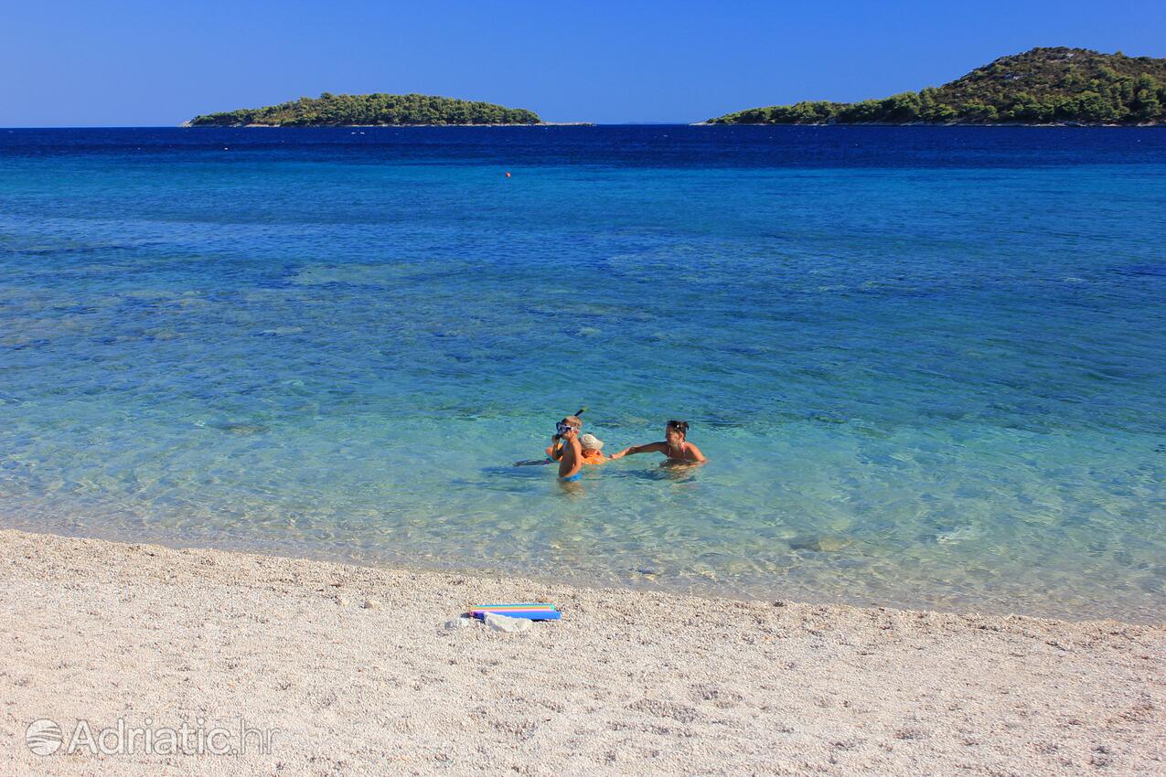 Adriatic.hr