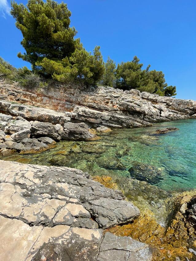 La spiaggia più vicina - Casa dei pescatori accanto al mare Baia Novica, Drvenik