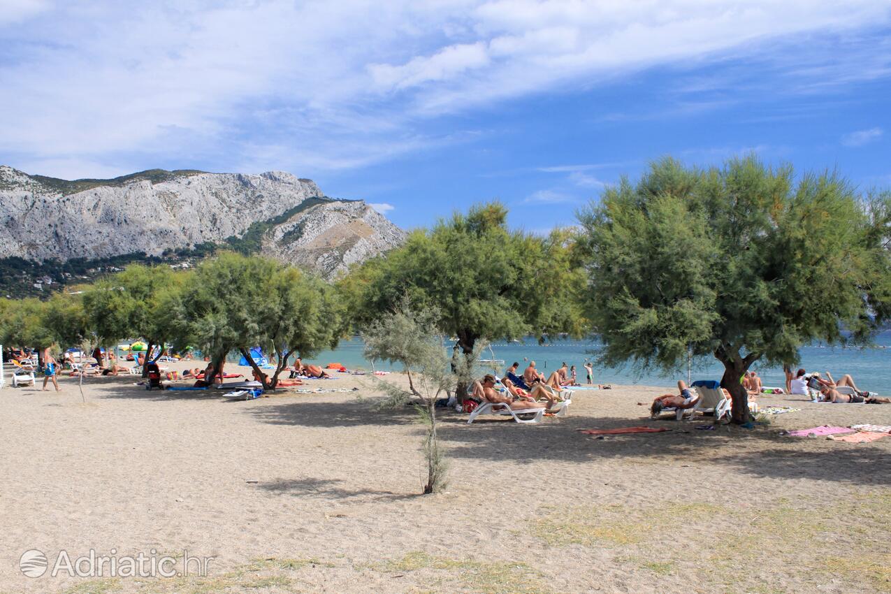 Adriatic.hr