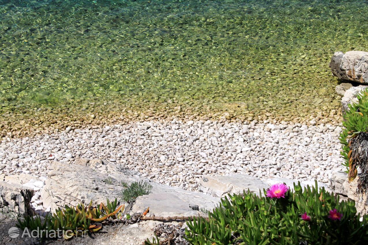 Adriatic.hr