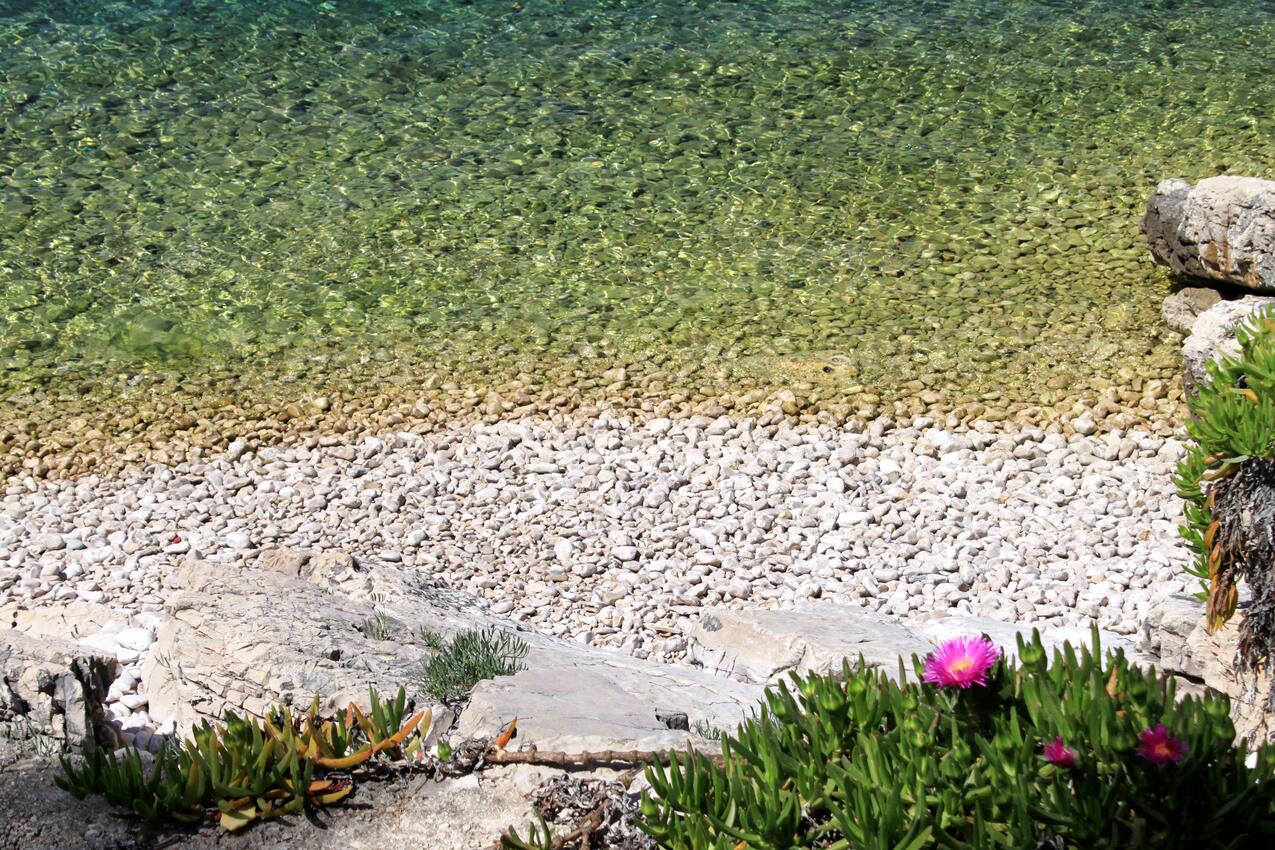 La spiaggia più vicina - Casa vacanze accanto al mare Baia Zarace - Zaraće (Gdinj), Lesina - Hvar